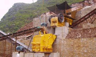 stone crusher plant supplier in china .